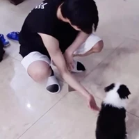Lưu Diệu Văn