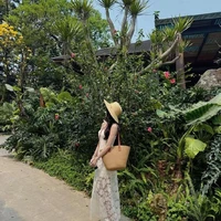 Kang Mirae
