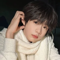 Trần Dịch Hằng - chưa xuyên