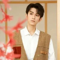 chu tán cẩm bạn y/n