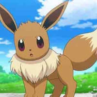 Eevee