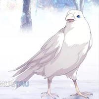 bàng bàng