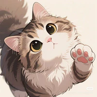 mèo