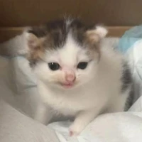 muhehhehhehehe
