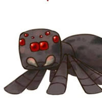 spider