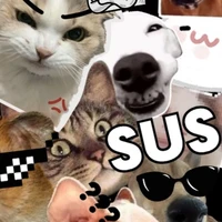 All(-nhiều trường hợp)