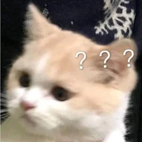 ？？？