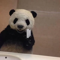 Nhỏ tác giả nè