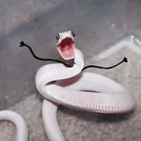 rắn độc slay