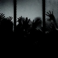『Zombie-Cấp Thường』