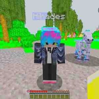 Hiha des 