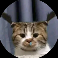 Citra 🐈