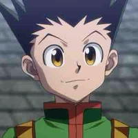 Gon Freecss