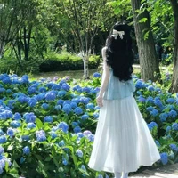 Linh Linh