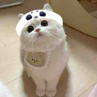 Sealy_T/G
