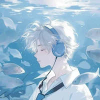 Dolphin • Waterry