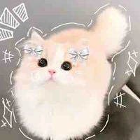 Bột ( Mèo )