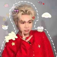  t/g Hann iu