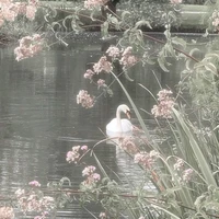 𝐐𝐮𝐚̂̀𝐧 𝐜𝐡𝐮́𝐧𝐠