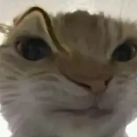 ？？？( ai đó )