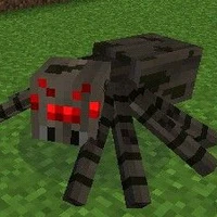 spider