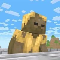 husk