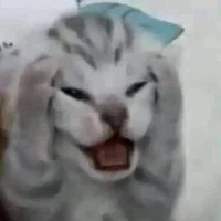 tác giả