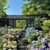 Xinh Nhất Quả Đất🌻