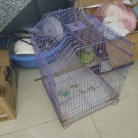 đt jevin