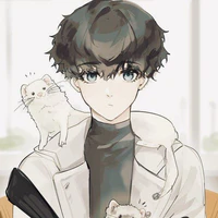 Niko Ikki • Sói •