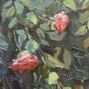 Đa nhân vật nữ