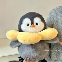 t/g / cô chủ nhiệm