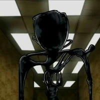 entity 1