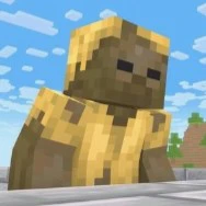 Husk