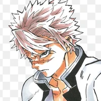 shinazugawa sanemi