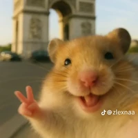 tg cung khòn:>