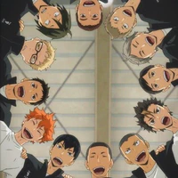 All Karasuno 