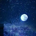 quần chúng