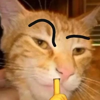 imtangdinaocobexamlon [ T/G ]