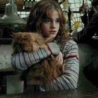 Hermione Jean Granger