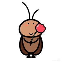 Mon iu dấu của các Friend