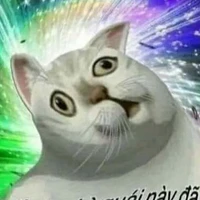 t/g