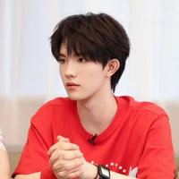 Tô Tân Hạo(em)