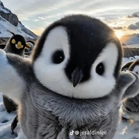 chim cánh cụt🎀