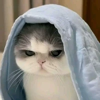 𝙯𝙖𝙯𝙮𝙖𝙣𝙚𝙯 💤