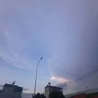 ALL
