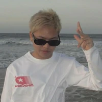 vũ ngô ( lil van )