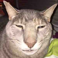 T/g