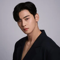 cha eun woo