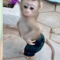tác giả nèk:3